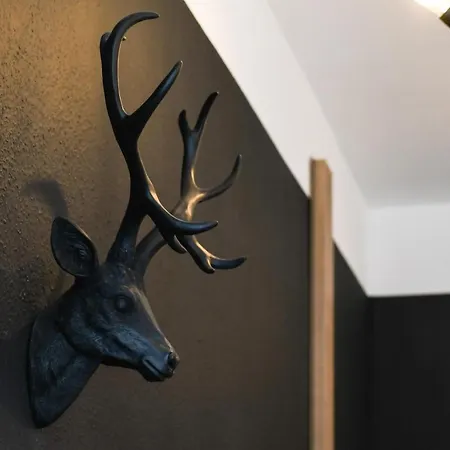 Jetzt - Modern & Gemuetlich - Waschmaschine - Wifi - 3 Personen Апартаменты